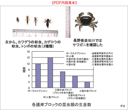 pdf内容見本